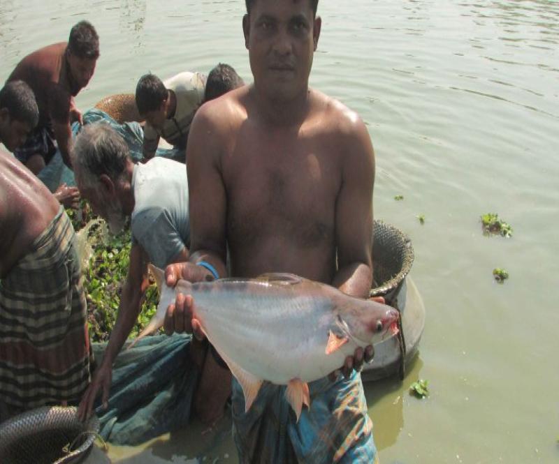 ইমেজ